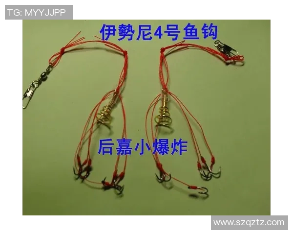 钓王鱼具户外体育用品助你畅享钓鱼乐趣与自然之美的完美结合 钓王鱼具户外体育用品助你畅享钓鱼乐趣与自然之美的完美结合